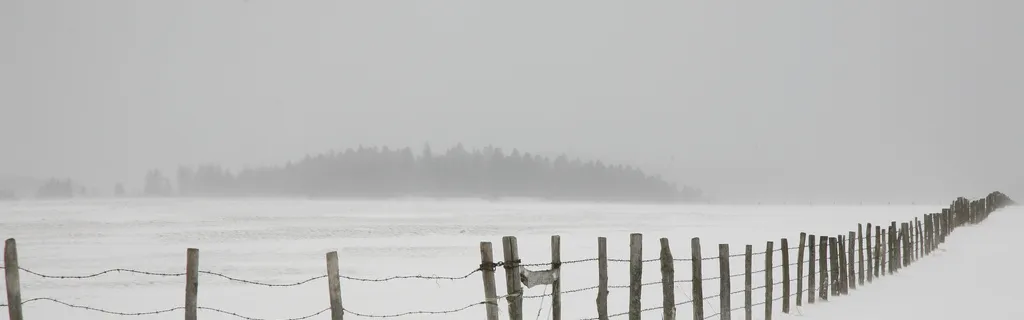 À gauche non plus, le numérique ne bat pas encore la campagne