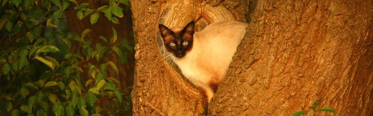 Info Contexte - VTC : Élisabeth Borne sort du bois