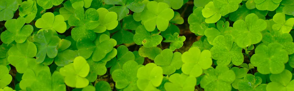 2018, l’année de la dernière chance pour le marché unique numérique 