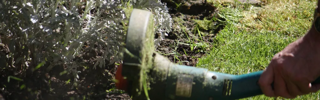 Brexit : le Parlement européen débroussaille les chantiers numériques