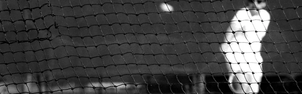 Droit à l’oubli : le Conseil d’État pourrait renvoyer la balle à la CJUE