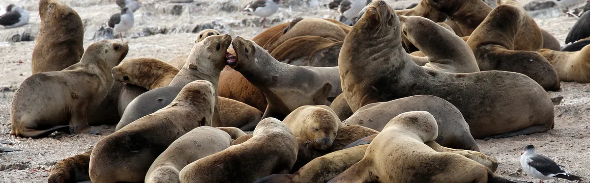 Marché européen du carbone : les États s’entendent sur un peu plus d’ambition à long terme