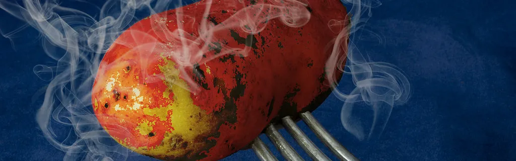 Fessenheim : quand l’État découvre qu’EDF est une entreprise privée