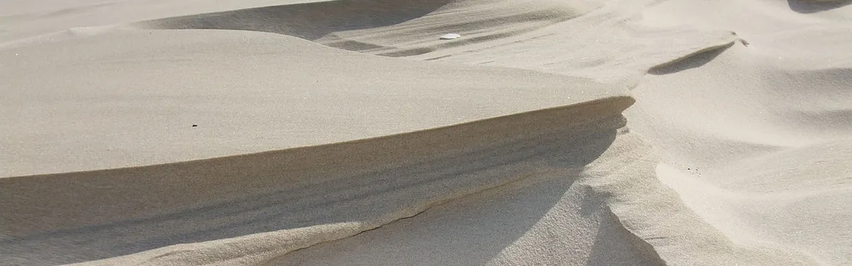 Les débuts de la XVe législature (jour 2) : L’opposition dans les sables mouvants