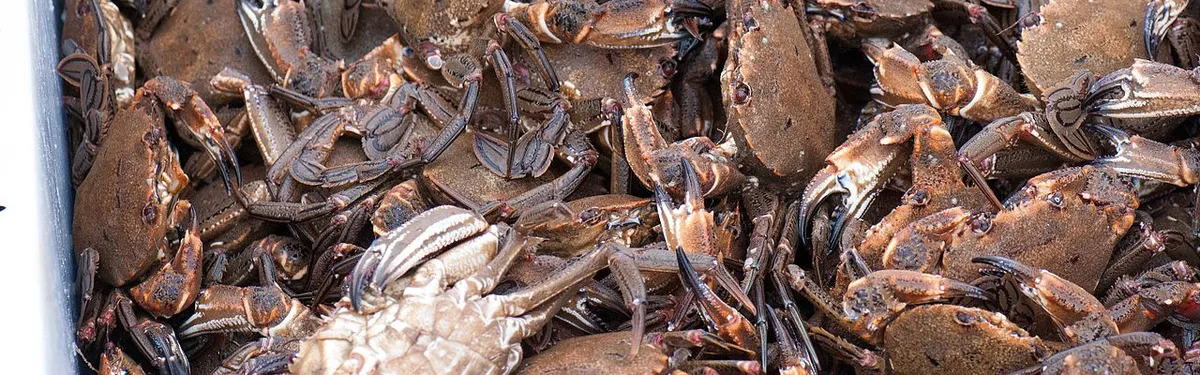 Le guide du nouveau député : la chasse aux bonnes places