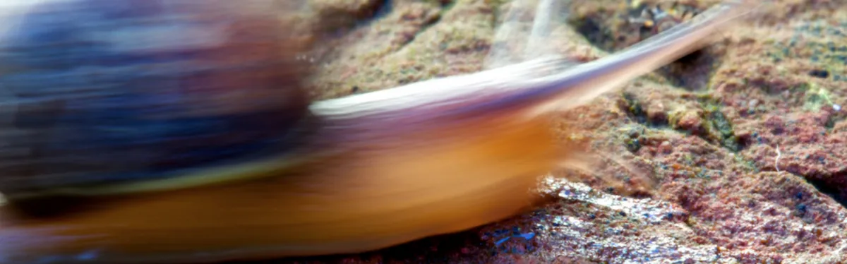 COP24 : en Pologne, les négociations un peu mieux « zloty »