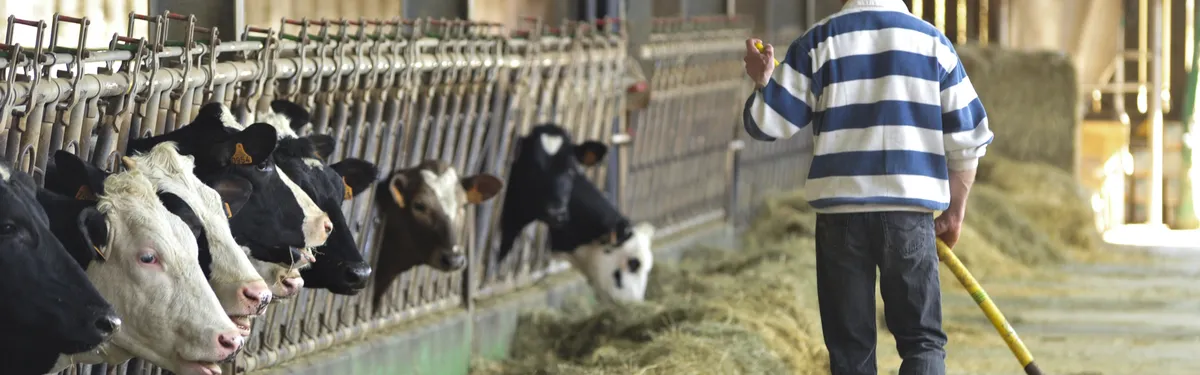 Budget européen : la Commission s’attaque aux vaches sacrées de la PAC et de la politique de cohésion