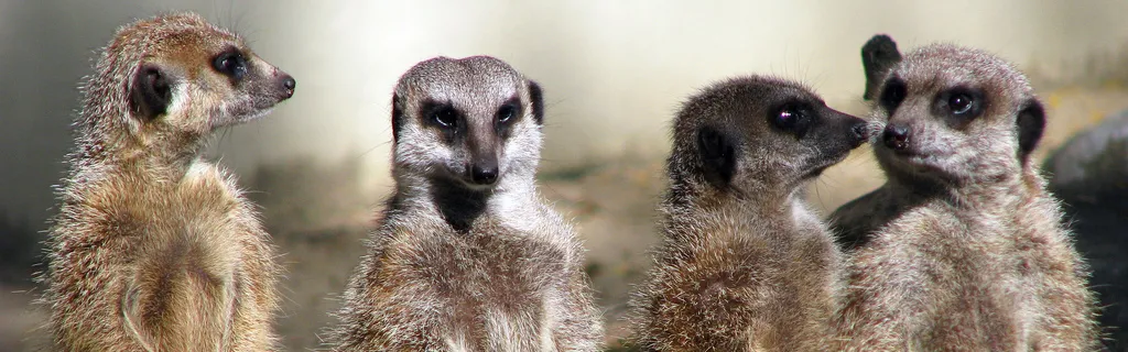 Les quelque 100 Françaises et Français qui comptent dans les politiques publiques du numérique, édition 2021