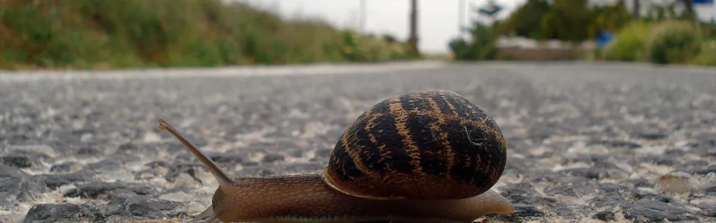 Climat : encore un « Bonn » effort à fournir jusqu'à la COP24 