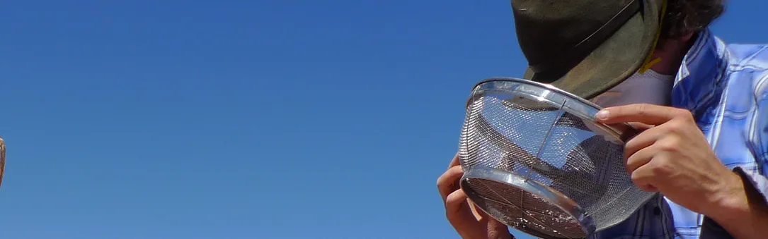 Énergie : les pépites de l’exécution du budget 2017 