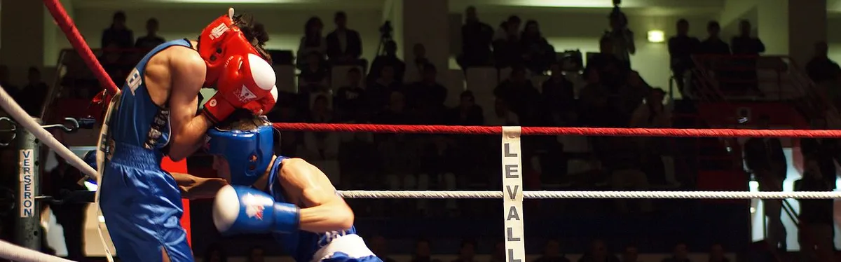 Le groupe LRM encaisse les coups de l’opposition dans l’affaire Benalla