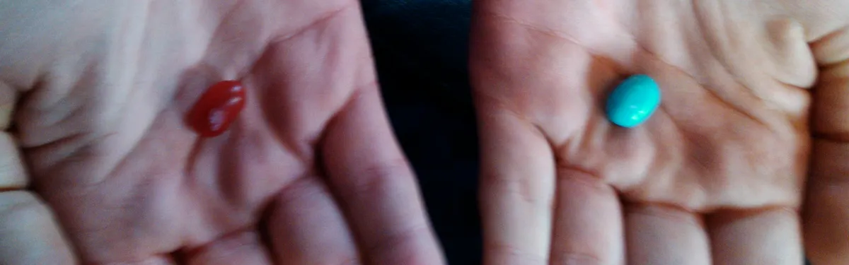 Info Contexte - CO2 des voitures : les deux options de la présidence autrichienne de l’UE  