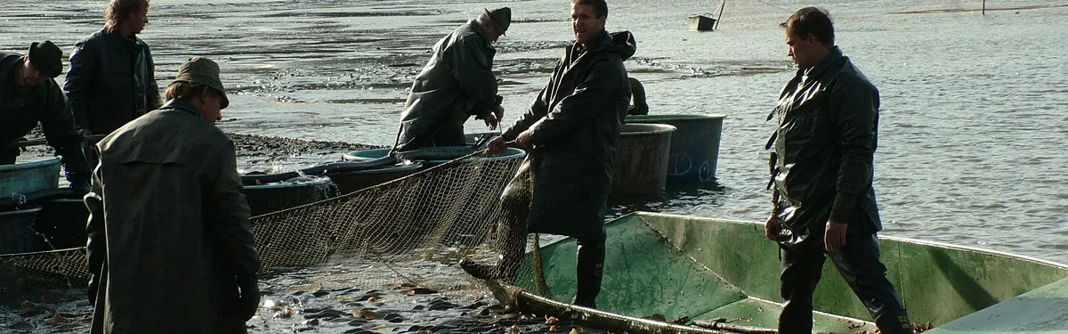 Les députés commencent à se mouiller avec le « sourcing » des amendements