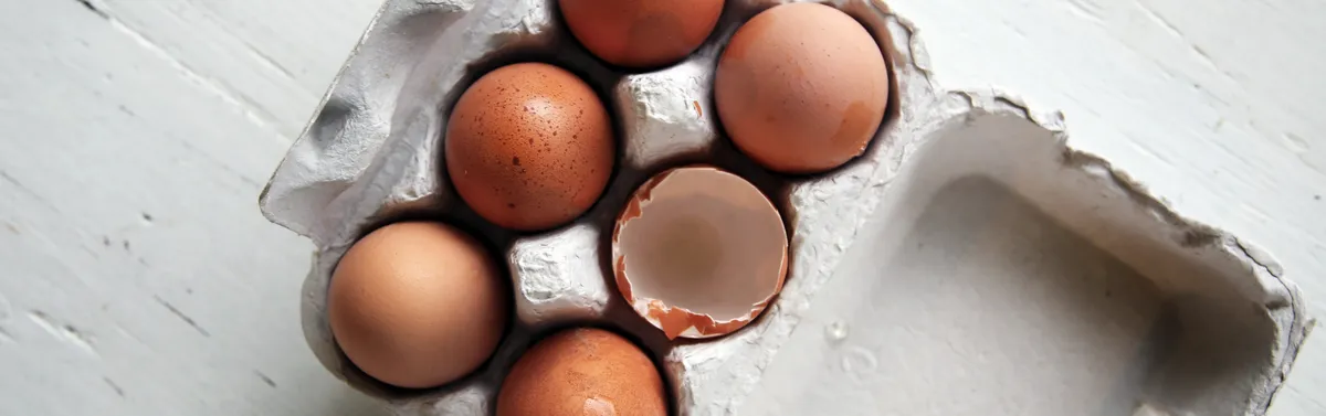 Green Deal : le risque de la coquille vide