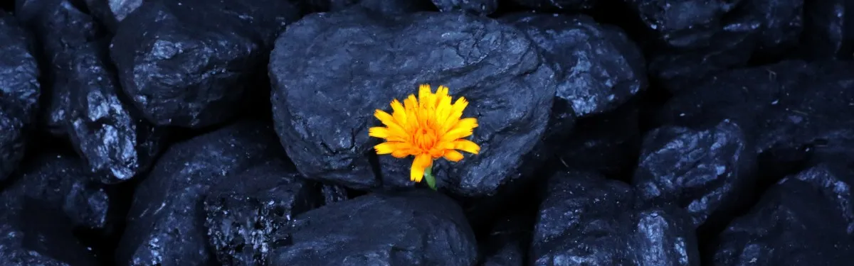 Les nombreuses inconnues de la fermeture des centrales à charbon