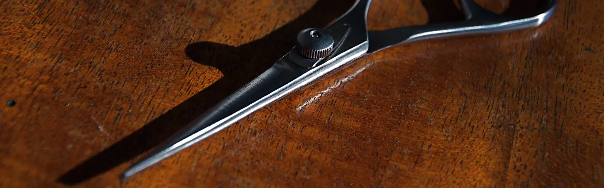 Coupes claires dans la proposition de loi sur la cyberhaine