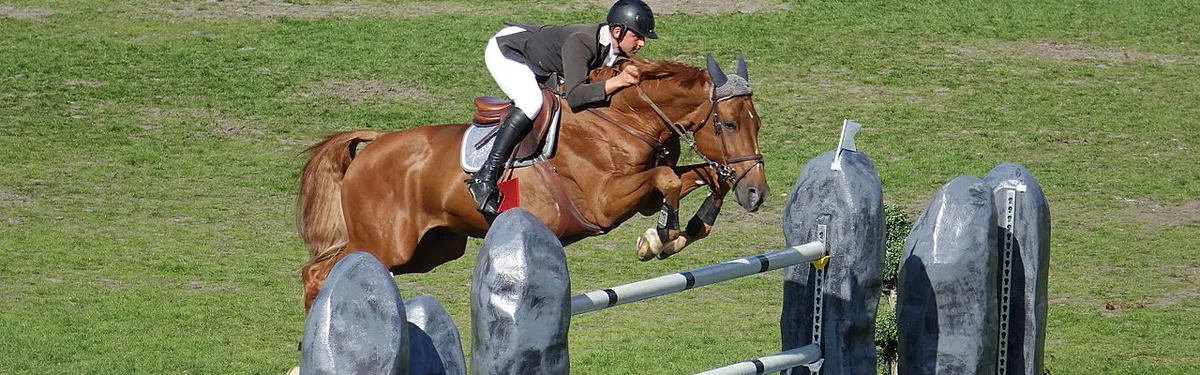 Les limites au droit d’amendement font débat au Sénat 