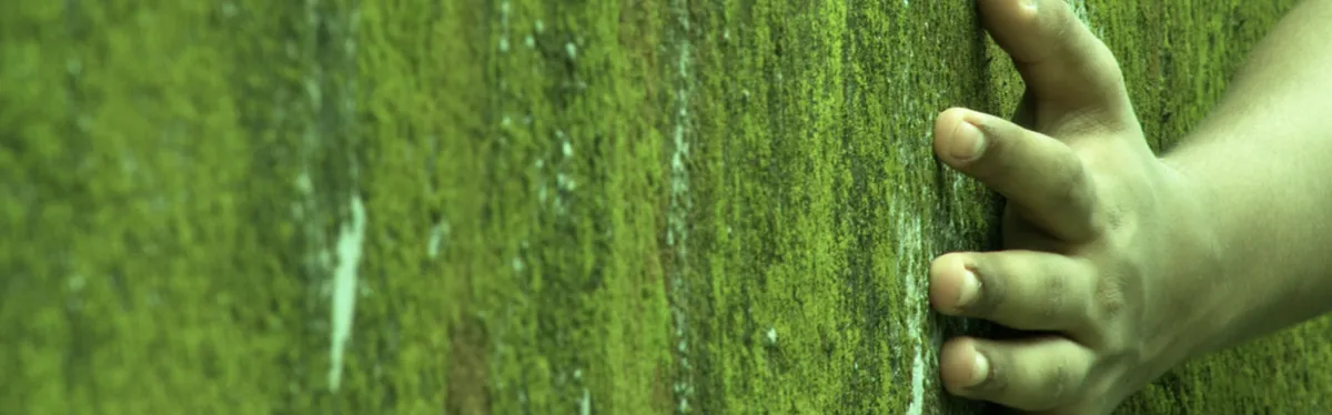 Bâtiment neuf : la prochaine réglementation environnementale à l’aveugle