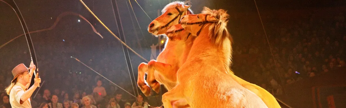 Comment le gouvernement tente à nouveau de tordre le bras de l’Arafer