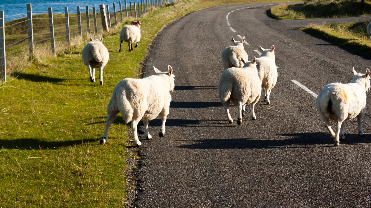 La saga du paquet mobilité, ou comment bloquer un texte au Parlement européen