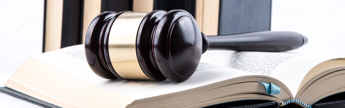 Loi mobilités : le Sénat, chambre d’appel du ministère des Transports