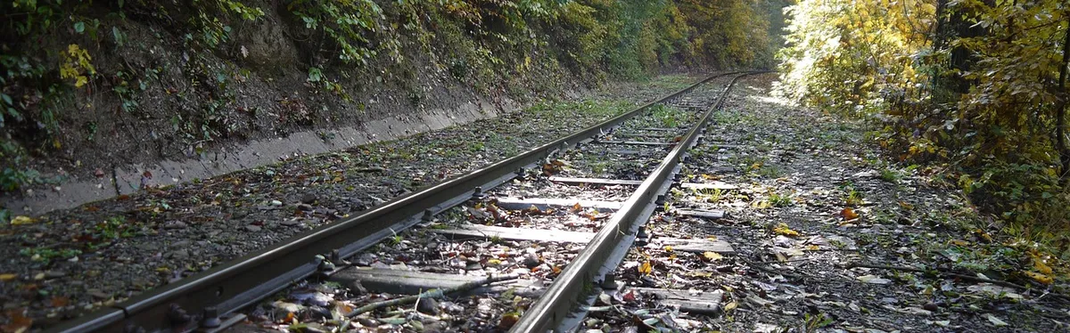 Les régions veulent que l’État paie la dot avant leur mariage avec les petites lignes