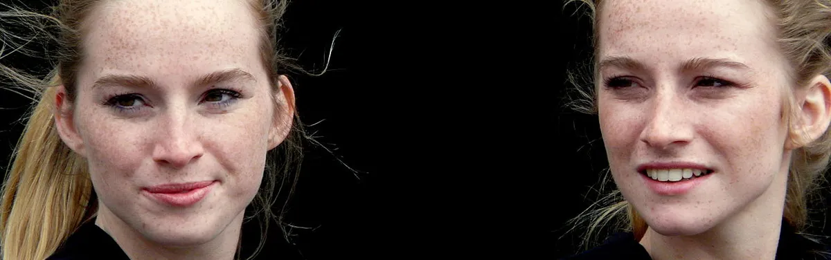 La révision constitutionnelle modifiée a minima par le gouvernement