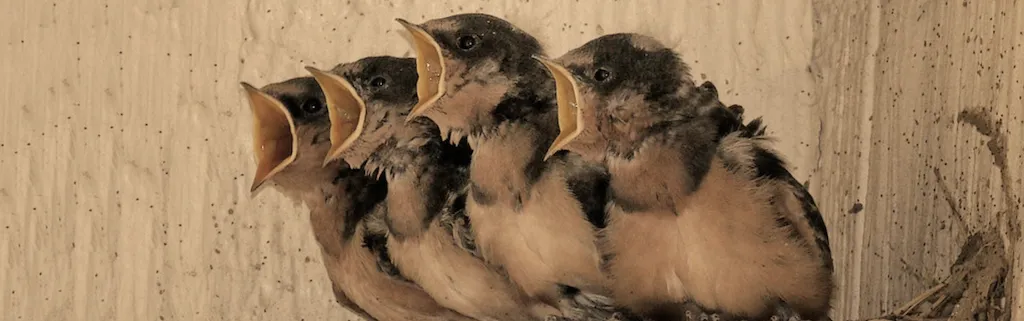 Décarbonation : les industriels allemands en appellent à l’État