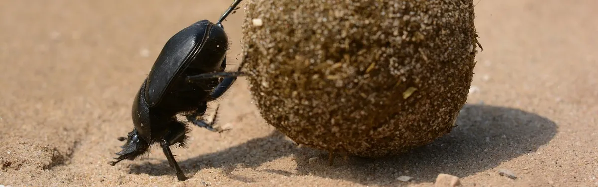 À l’Assemblée, les adversaires d’EDF en Sisyphe du lobbying