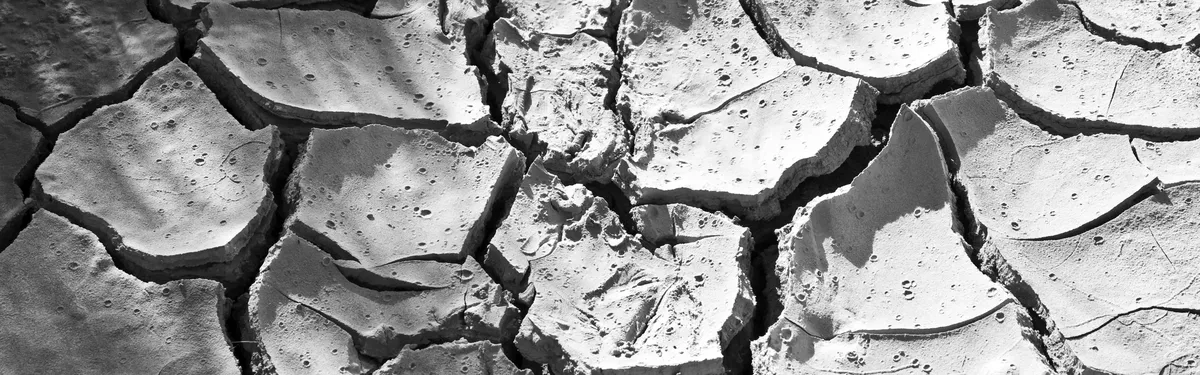 La ratification ric-rac du Ceta révèle de nouveaux clivages à l’Assemblée