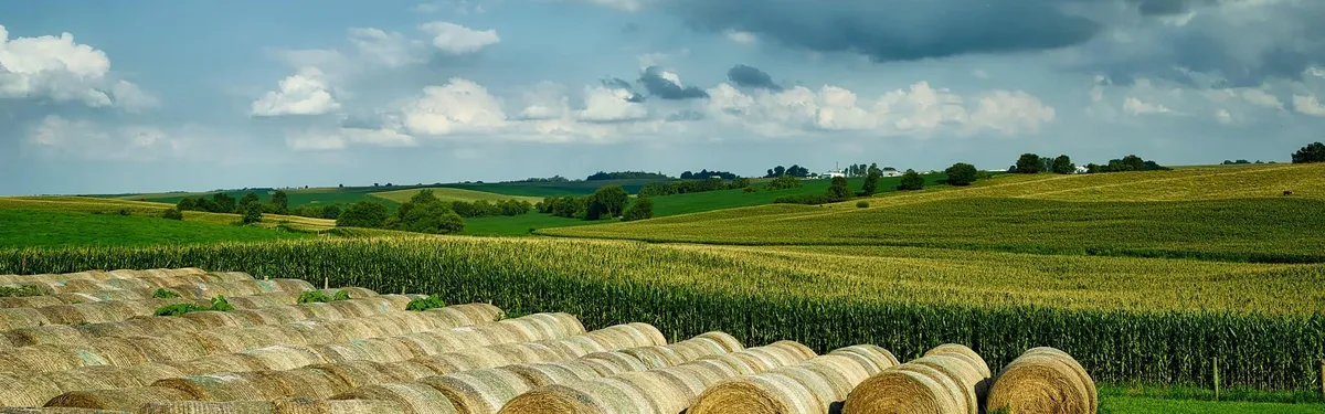 Les propositions des organisations professionnelles pour limiter la concentration du foncier dévoilées