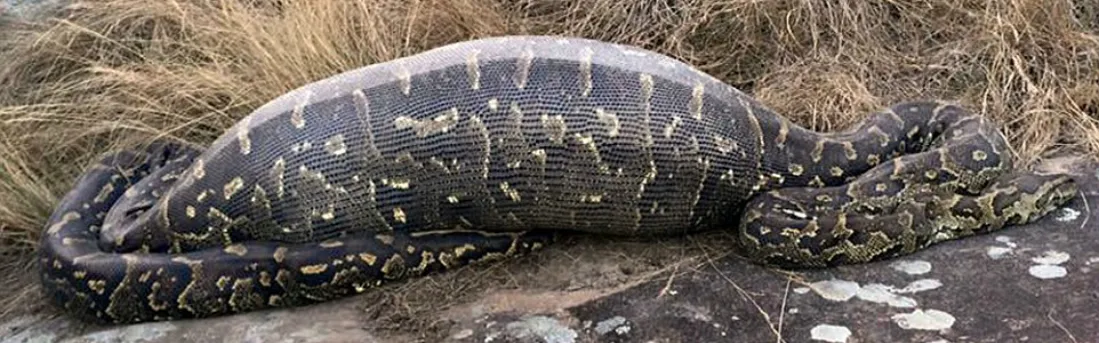 L’Arafer ingère les aéroports et entame une nouvelle mue