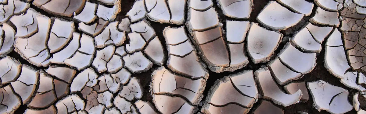 Gestion des risques : une réforme de l’assurance récolte en commande