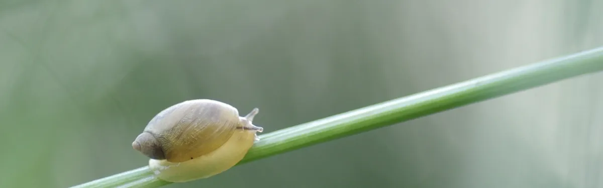 Énergie-climat : à Berlin, négociations marathon et procrastination