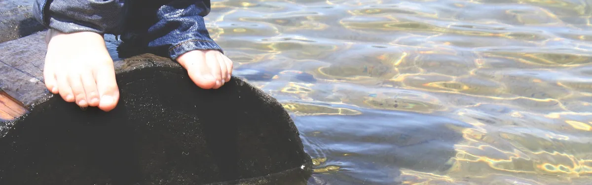 Le texte de Villani pousse la majorité à se mouiller sur le bien-être animal
