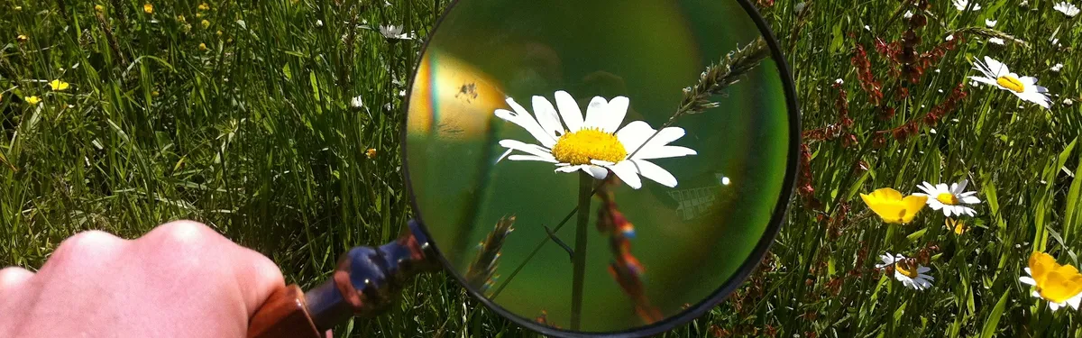 Info Contexte – Les critères de Bruxelles pour prétendre à un investissement « vert » dans l’énergie