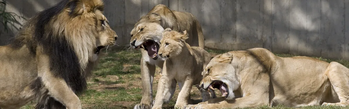 État de droit : le Parlement arrache des concessions aux États, Budapest mécontent 
