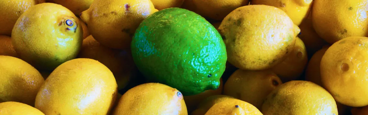 Le menu énergie-climat du sommet dédié au budget 2021-2027 de l’Union européenne