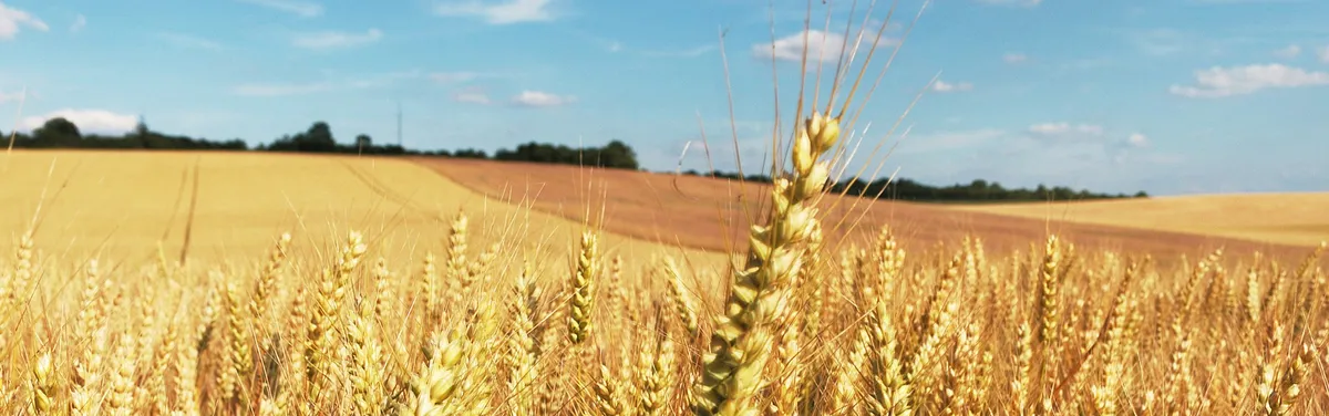 Budget européen 2021-2027 : nouvelle répartition des coupes dans la PAC 