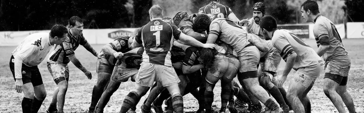 La cause animale dans la mêlée de la majorité