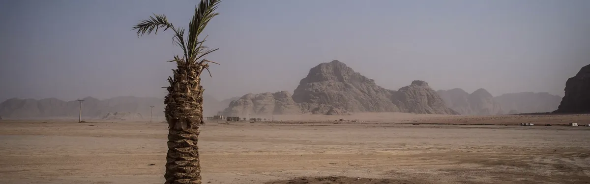 Municipales et climat : derrière les discours, un bilan bien court  