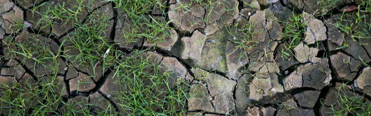 Énergie-climat : les impacts mitigés du coronavirus