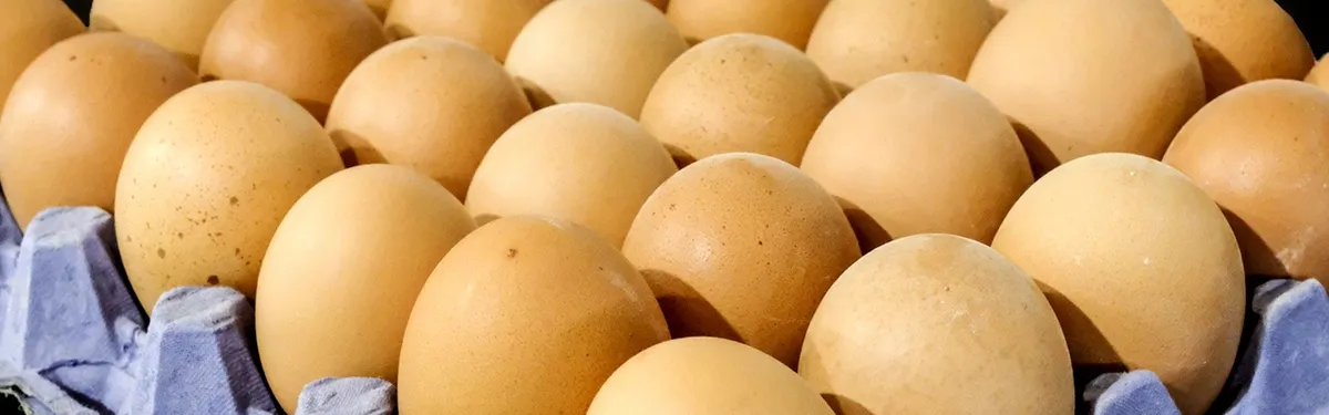 Accord commercial avec les États-Unis : la Commission européenne marche sur des œufs