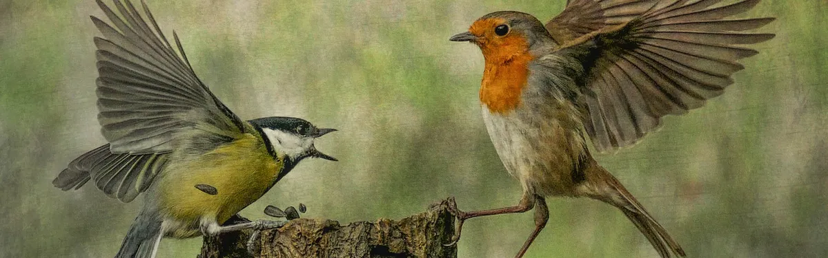 Avant de repenser le monde post Covid-19, les Européens doivent prendre acte d’un avenir commun ou pas