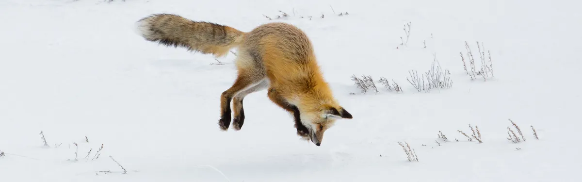 La production allaitante en proie à ses propres dysfonctionnements