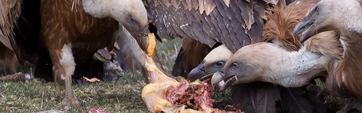 Coronavirus : les anti Green Deal sortent du bois