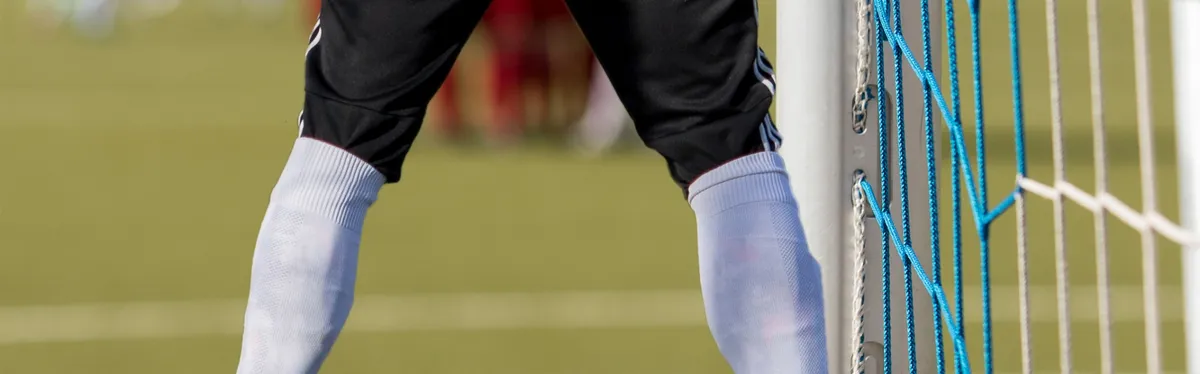 Politique commerciale agricole : les États-Unis et la Chine sur la défensive