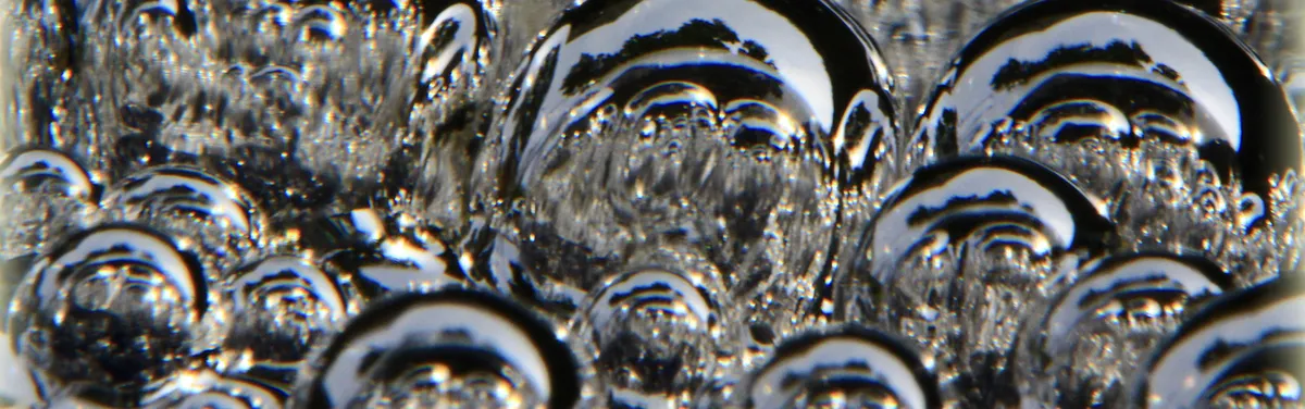 Hydrogène : l’Allemagne ambitionne de devenir l’équipementier du monde