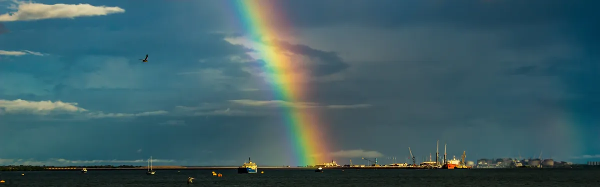Malgré le gros temps, le lobby des énergies renouvelables croit aux opportunités