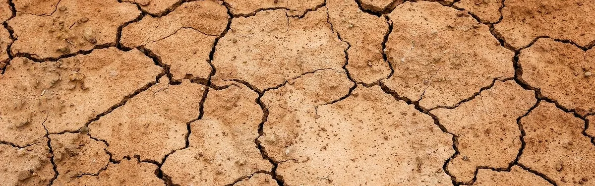 Responsabilité, concurrence, données… Petites et grandes fractures sur le Digital Services Act